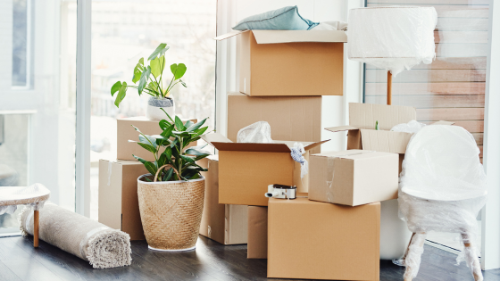 Beat the Heat: Smart Moving Tips for Hot Summer Days | Howard Hanna Coach Realtors