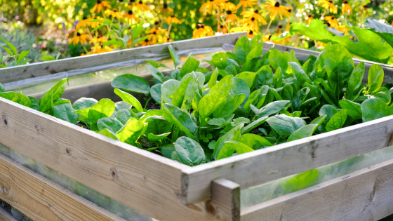 Weekend DIY Ideas: Projects to Accomplish in a Snap - Howard Hanna | Coach Realtors