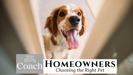 Best Pet for Your Home - Coach Realtors